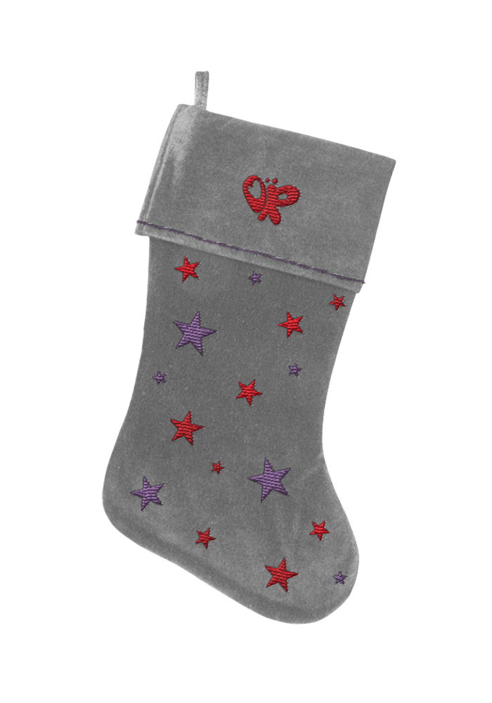 OR silver star velvet stocking