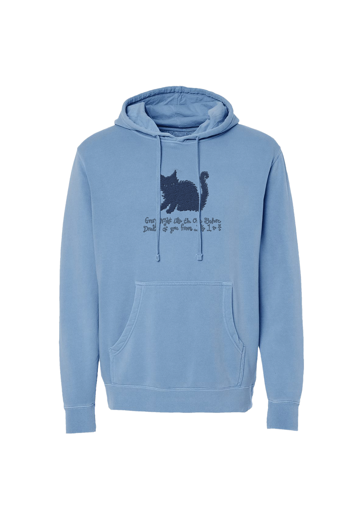 bodega cat embroidered hoodie