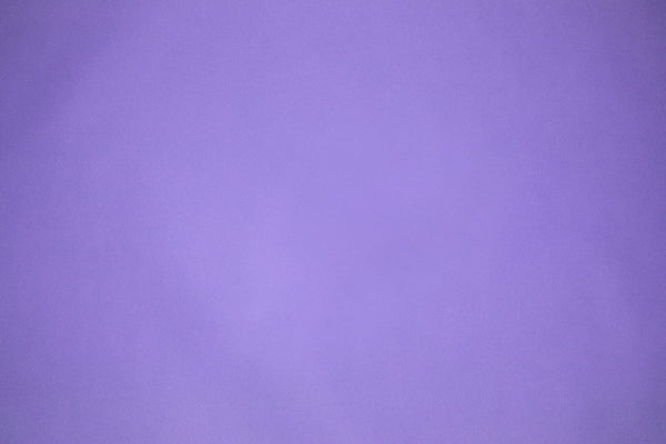 cd Olivia Rodrigo Official Store